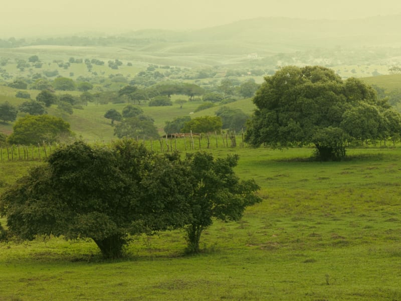 Shimba Hills National Reserve