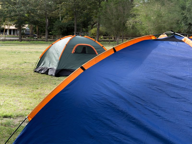 Lake Naivasha Crescent Camp 2