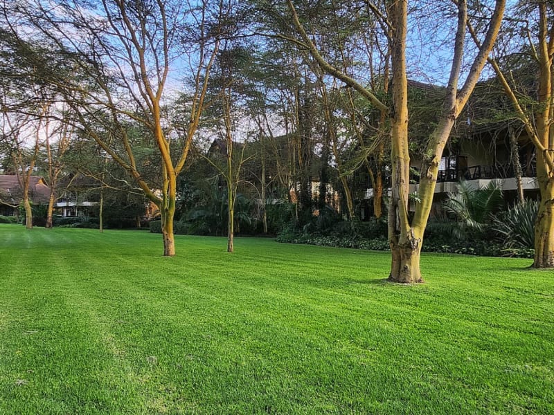 Sawela Lodge 2