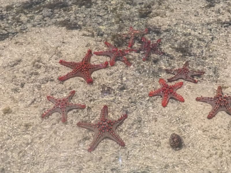 Watamu Marine Excursion 4