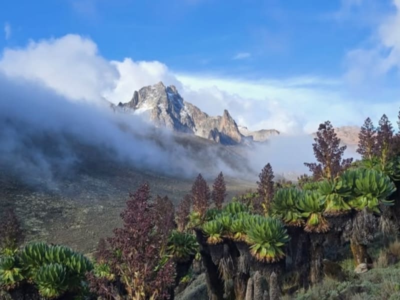 Mount Kenya Guided Hike 5
