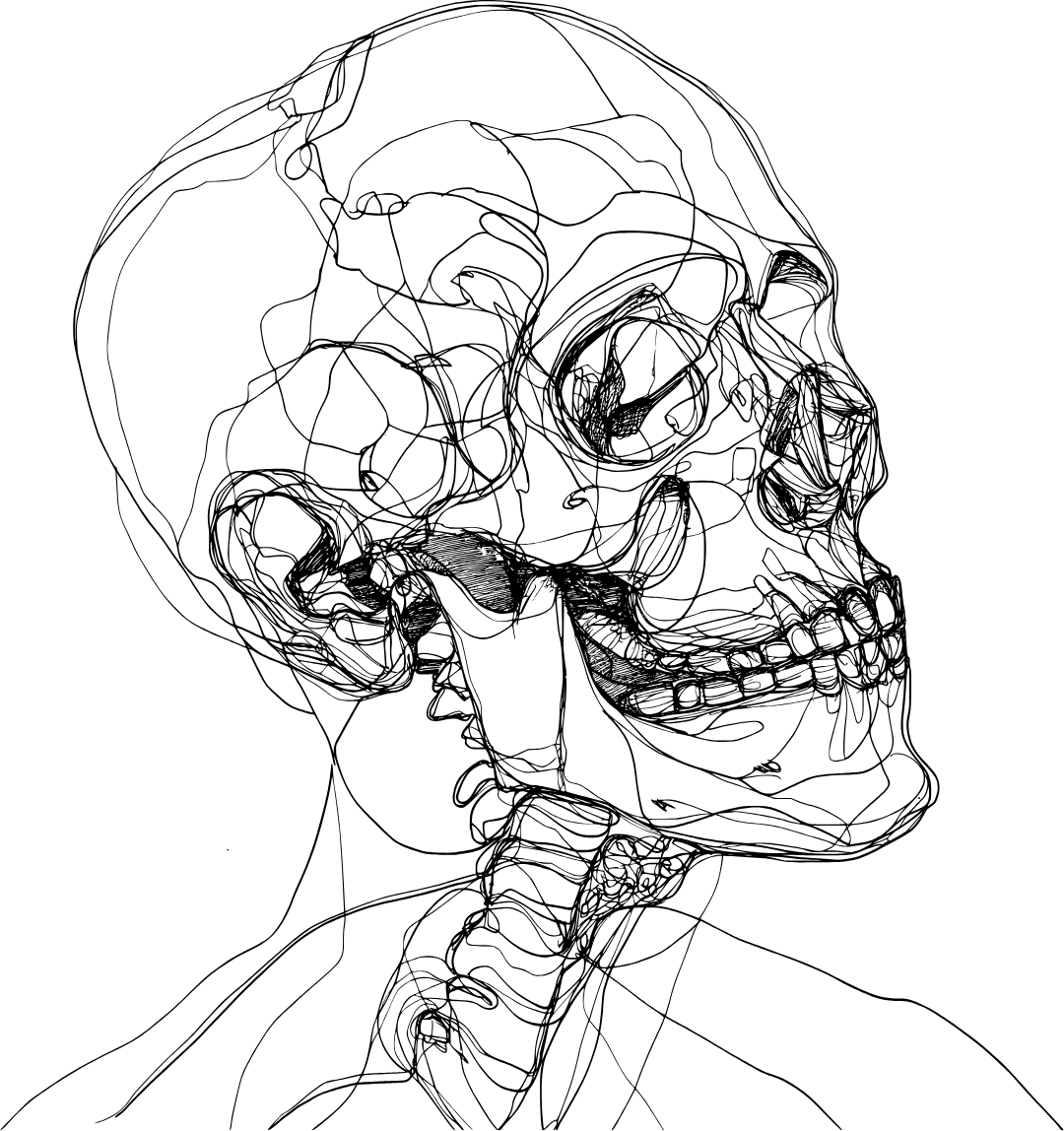 skull outline