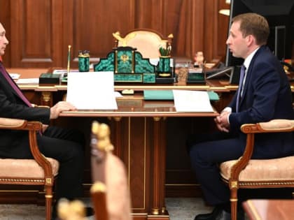 Геологоразведку на Дальнем Востоке обсудил глава Минприроды с президентом России