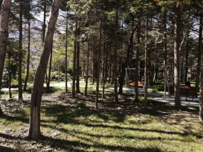 Самые опасные регионы по клещам назвали россиянам