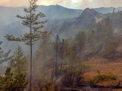 На севере Амурской области отменяют особый противопожарный режим