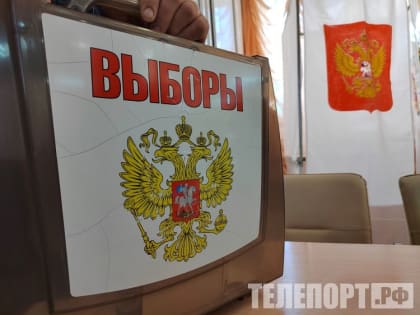 В Амурской области подвели предварительные итоги выборов