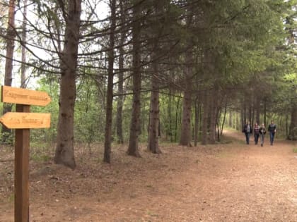 Заброшенную лесоопытную станцию в Свободном превратили в современный дендрарий