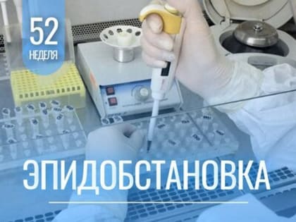 Об эпидемиологической обстановке в Амурской области за период с 23.12.2024 по 29.12.2024 г.