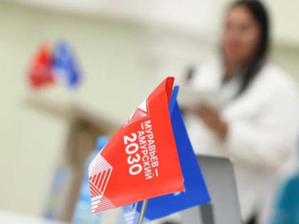 Модуль федеральных стажировок стартовал в программе «Муравьёв-Амурский 2030»