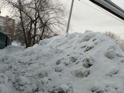 «Из окна вообще ничего не видно»: в Благовещенске частный дом закрыли снежной стеной (фото)