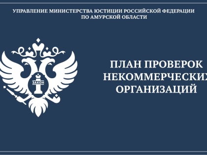 Управлением Министерства юстиции Российской Федерации по Амурской области утвержден план проверок некоммерческих организаций на 2024 год