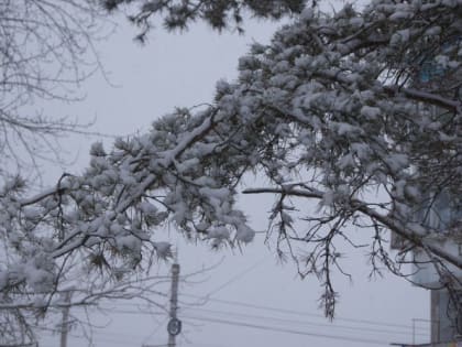 Иван-бражник: «Празднуй раз в месяц - будешь веселым; запразднуешь каждый день - будешь голым»