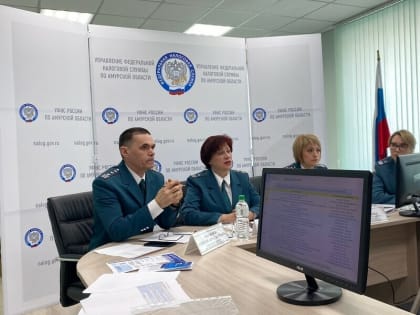 Стало известно, почему налоги амурчан уходят в Тульскую область и как их платить по новой системе