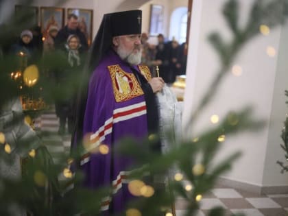 Архиепископ Благовещенский и Тындинский обратился к верующим с рождественским посланием