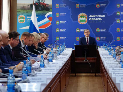 Глава Приамурья дал важное поручение, касающееся деятельности комиссий ПДН