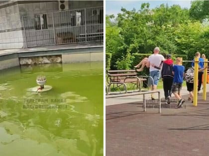 Происшествием с ребенком, получившим травму в фонтане Благовещенска, заинтересовался следком России