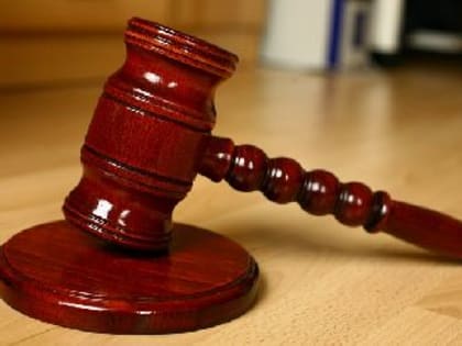 Бывший руководитель Тындинского лесничества подал апелляцию и вместо условного срока получил общий режим