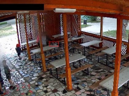 Похитившая смартфон у ребенка жительница Благовещенска отказалась возвращать его добровольно