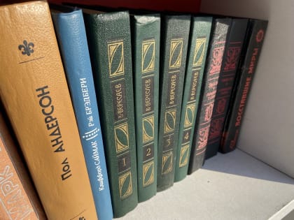 В селе Дмитриевка готовят к открытию модельную библиотеку