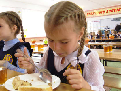 Василий Орлов: 22 школьных кафе заработают в амурских школах к 1 сентября