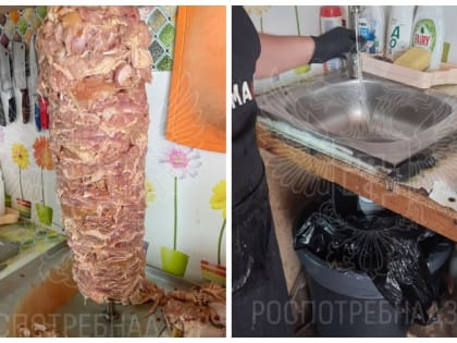 Результаты проверки ситуации с массовым отравлением в шаурмечных Благовещенска представят Александру Бастрыкину