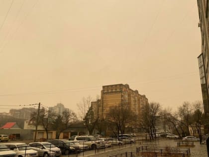 Задымление от пожаров из Китая сохраняется в Приамурье. Что показал мониторинг воздуха?