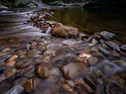 В Амурской области нашли тело мужчины, пропавшего после таинственного звонка