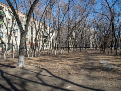 Благовещенская музыкальная школа проголосовала за проект благоустройства