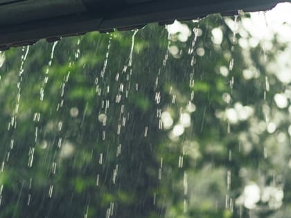 Дождь и туман: прогноз погоды в Приамурье на 15 мая