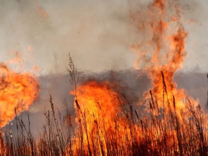 Аномальное количество сухих гроз в Амурской области привели к сложным лесным пожарам
