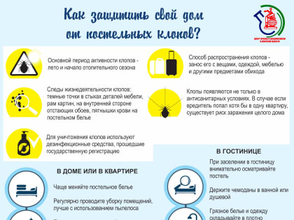 Как защитить свой дом от постельных клопов