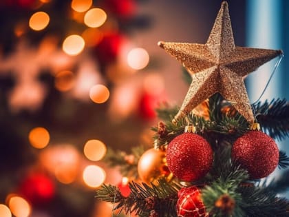 Проверить дачи: депутаты предложили сделать выходным днем старый Новый год