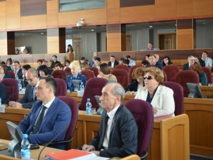 Амурские парламентарии поддержали федеральные законопроекты по упрощению декларирования для сельских депутатов