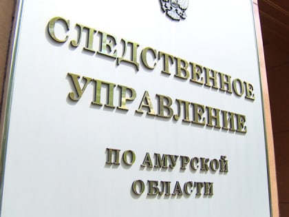 Из-за опасных игр маленького ребенка на окне пятого этажа в Благовещенске начата проверка