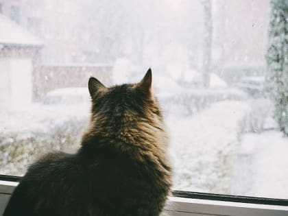 Ранние крещенские морозы до -48° ударят в Приамурье