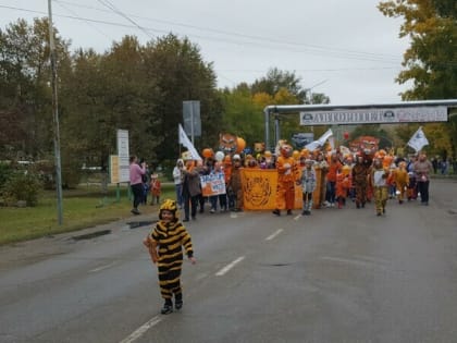 «Полосатый фестиваль» и «парад тигров» состоялись в Зее