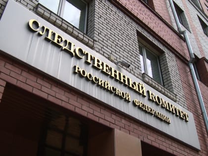 Амурские следователи проверят два случая травмирования детей в Благовещенске