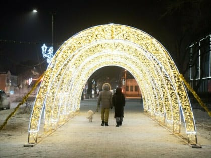 Один большой каток в Горпарке, ледовый дракон и горка в виде ракеты: власти раскрыли секреты будущего новогоднего оформления Благовещенска