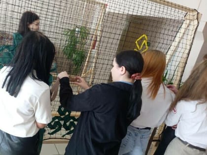 Медаль «За содействие специальной военной операции» появится в Амурской области. Кому ее будут вручать?