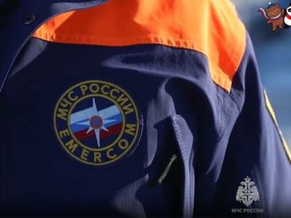 Медики и полиция. Кто еще будет контролировать и оберегать зимний фестиваль на Амуре в Благовещенске (видео)