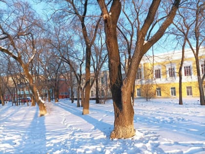 Новым арендатором одной из популярных столовых Благовещенска стал гражданин КНР