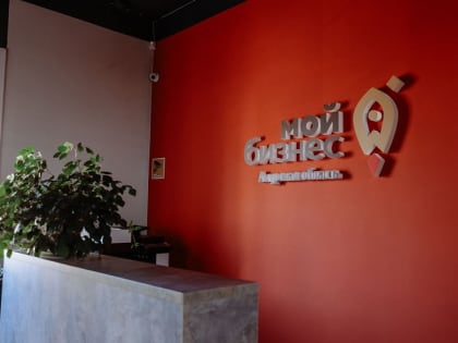 Между социальными предпринимателями Приамурья распределят 24 миллиона рублей