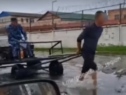 Заключенного в Приморье впрягли в телегу, чтобы сотрудник УФСИН не замочил ноги (видео)