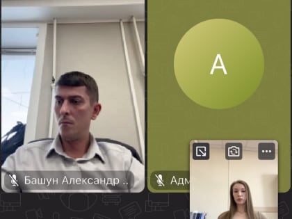 Управлением принято участие в заседаниях профильных комитетов Законодательного Собрания Амурской области