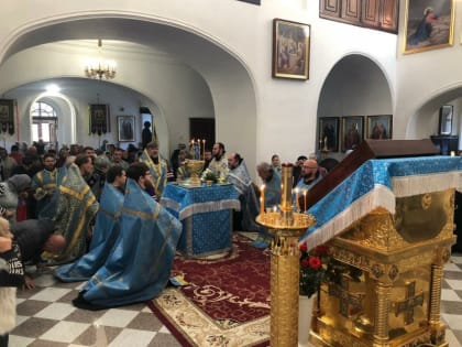 Архиепископ Лукиан возглавил соборное акафистное пение у Албазинской иконы Божией Матери