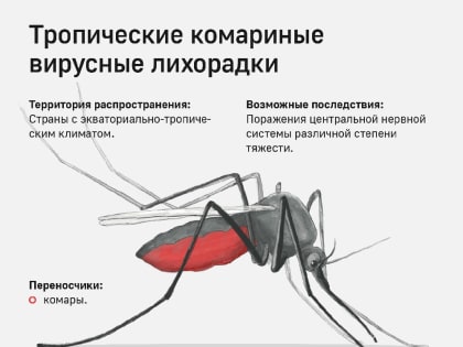 Памятка по профилактике заболеваний, передающихся при укусе комаров, при совершении туристических поездок