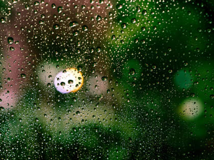 Дождливая погода сохранится в Приамурье: прогноз на 28-е мая