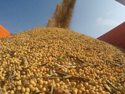 Юрий Трутнев отметил лидирующие позиции Приамурья по переработке сои