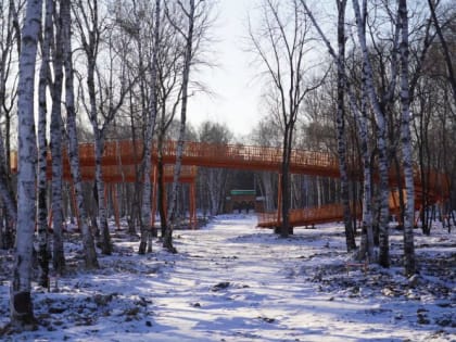 В городском парке Свободного возвели мост-перголу