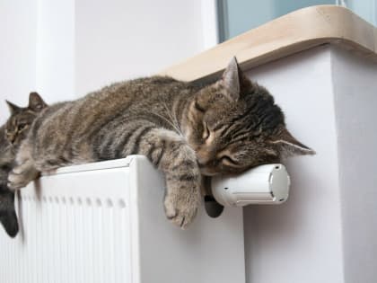 Теплоснабжение в центре Благовещенска восстановлено